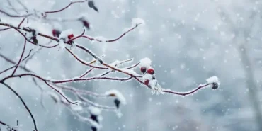 Meteoroloji’den 13 İl İçin Kar Uyarısı