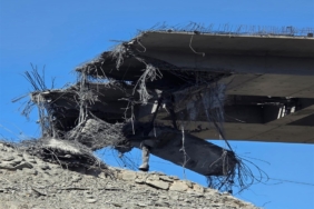 1243928.jpg