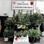 BURSADA-UYUSTURUCU-OPERASYONU-1-TUTUKL_1288962_383518.jpg