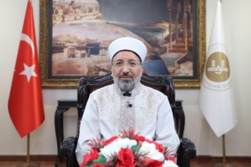 safi-arpagusaa-2439883.jpg