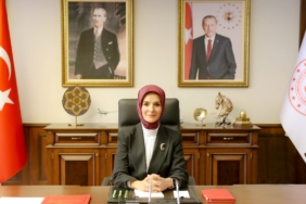 BAKAN-GOKTAS-YANGINLARINDAN-ETKILENENLE_1441258_428587.jpg