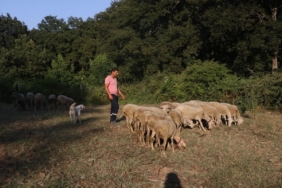 yalova-da-sehir-yasamini-birakip-orkoy-desteg-20122132_amp.jpg