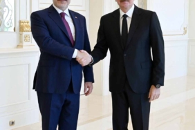 BAKAN-FIDAN-AZERBAYCAN-CUMHURBASKANI-AL_1507394_448489.jpg