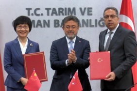 TURKIYE-ILE-CIN-ARASINDA-DEFNE-IHRACATI-_1499284_446051.jpg