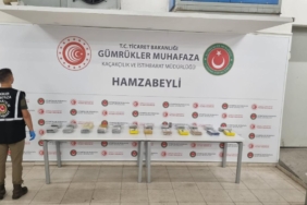 hamzabeyli-trt-2487987.jpg