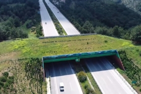BAKAN-URALOGLU-KARA-YOLU-VE-DEMIR-YOLU-_1555818_462993.jpg