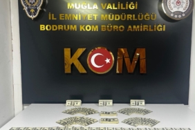 BODRUMDA-46-BIN-200-SAHTE-ABD-DOLARI-EL_1553304_462235.jpg