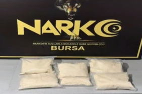 BURSA-VE-ISTANBULDA-UYUSTURUCU-OPERASYO_1572227_467708.jpg