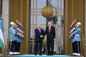 erdogan-karsilama.png
