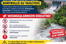 yalovagijce.jpg